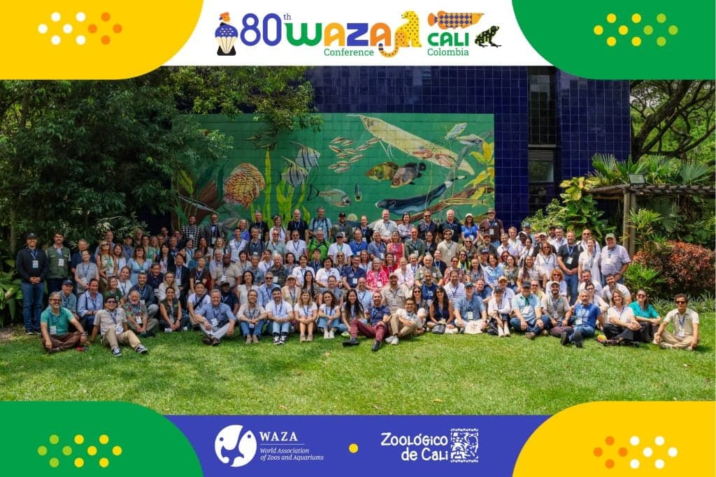 Group Photo at the 80th WAZA Annual Conference in Cali Zoo, Colombia, 2025